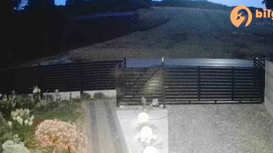 Скриншот відео з камери спостереження з нічним спалахом від падіння об'єкта (за даними порталу bilgoraj.com.pl).